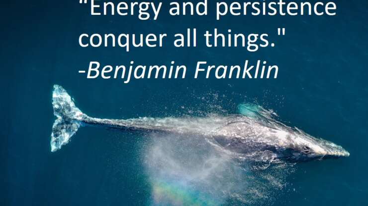 Quote of the Day – “ENERGY AND PERSISTENCE CONQUER ALL THINGS.”